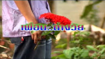 ไทยเย็ดกัน โป๊ไทย เย็ดไทย